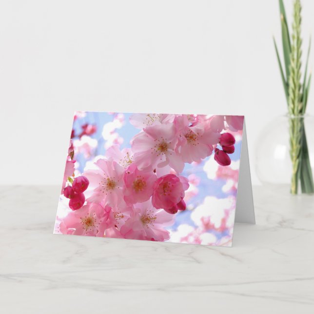 Pink spring blossom holiday card (Front)