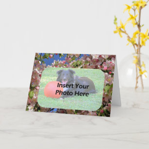 Pink Spring Blossoms Floral Frame Photo  Card