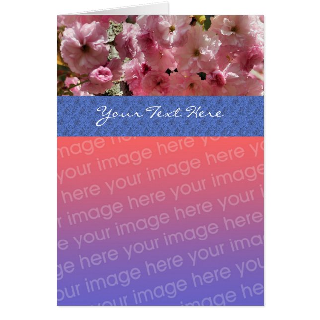 Pink Spring Blossoms Floral Photo Card (Front)