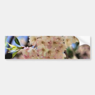 Pink Spring Blossoms Flower Bumper Sticker