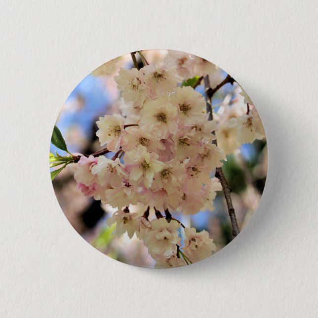 Pink Spring Blossoms Flower Button (Front)