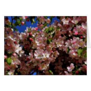 Pink Spring Blossoms Flower Photography Card