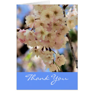 Pink Spring Blossoms Flower Thank You