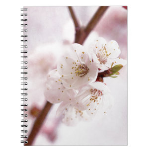 Pink spring blossoms notebook