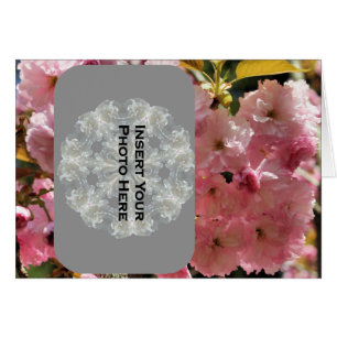 Pink Spring Blossoms Photo Card