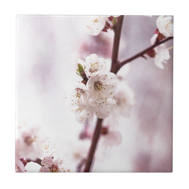 Pink spring blossoms tile (Front)