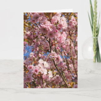 Pink Spring Cherry Blossom Card