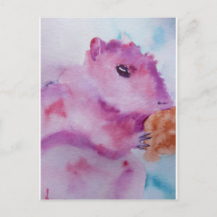 Pink Squirrel Postcard