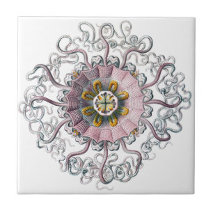 Pink starfish ceramic tile