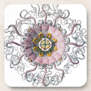 Pink starfish coaster