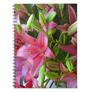 Pink stargazer lilies notebook