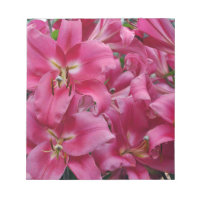 Pink stargazer lilies