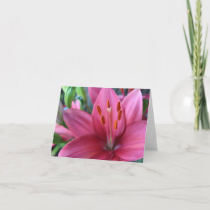 Pink Stargazer Lilly in the Garden Holiday Card