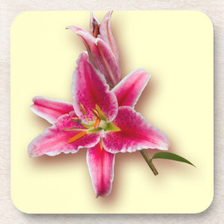 Pink Stargazer Lily and Bud Coaster