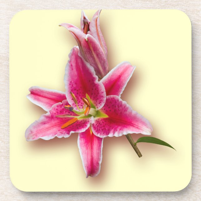Pink Stargazer Lily and Bud Coaster (Front)