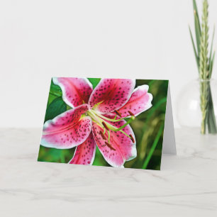 Pink Stargazer Lily Blank Card