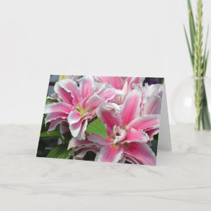 Pink stargazer lily flowers greeting card