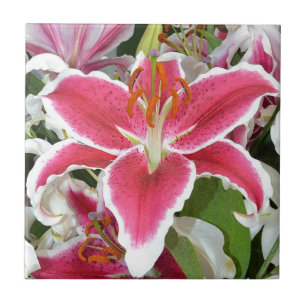 Pink stargazer lily flowers tile