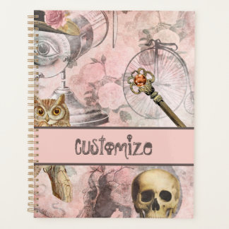 Pink Steam Punk Retro Goth Owl Keys Planner