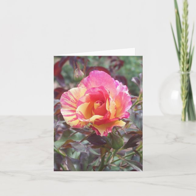 Pink Striped Rose Photo Folded Note Card (Front)