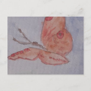 Pink Summer Butterfly Postcard
