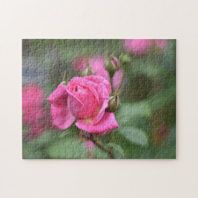 Pink Summer Rose Flower Nature Photography Garden Jigsaw Puzzle (Horizontal)