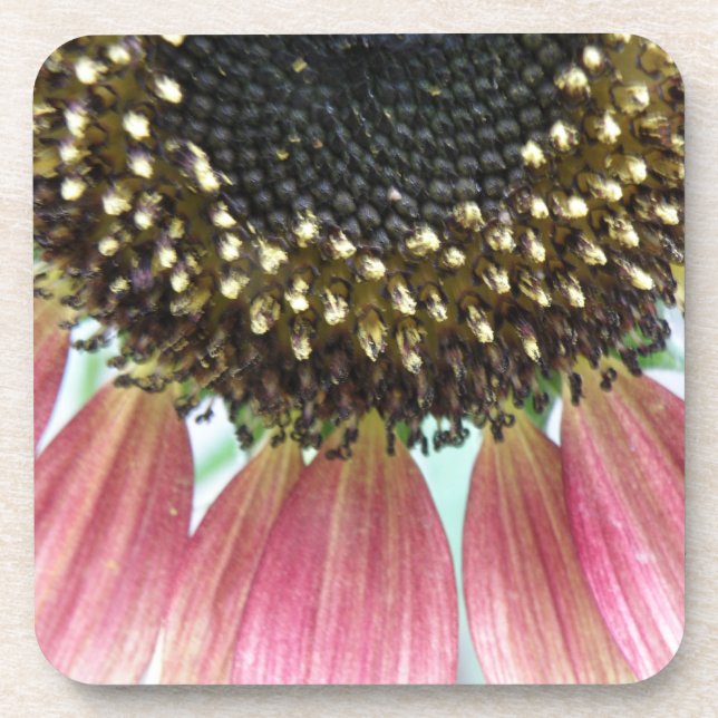 Pink Sunflower Cork Coaster (Front)