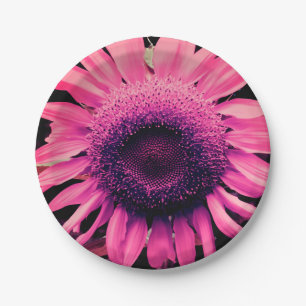 Pink Sunflower Paper Plate