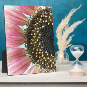 Pink Sunflower Plaque
