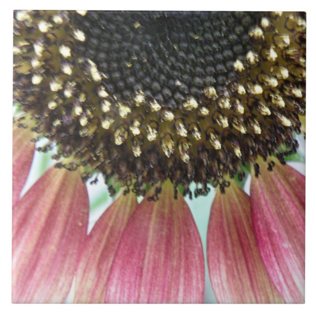 Pink Sunflower Tile (Front)
