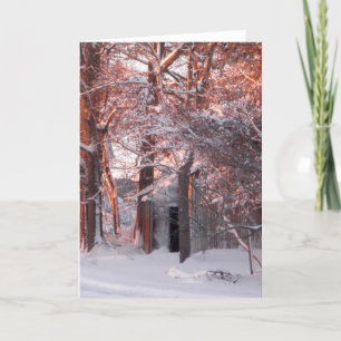 Pink Sunrise on the Snow Winter Photo Holiday Card