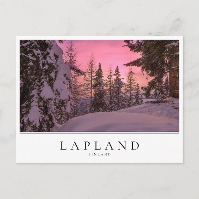 Pink sunset in Lapland, Finland Postcard (Front)