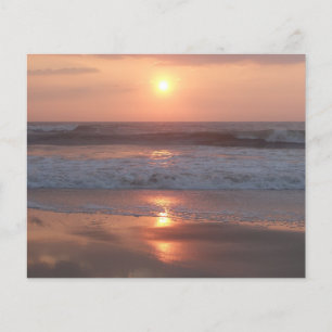 Pink Sunset on the Beach Flyer