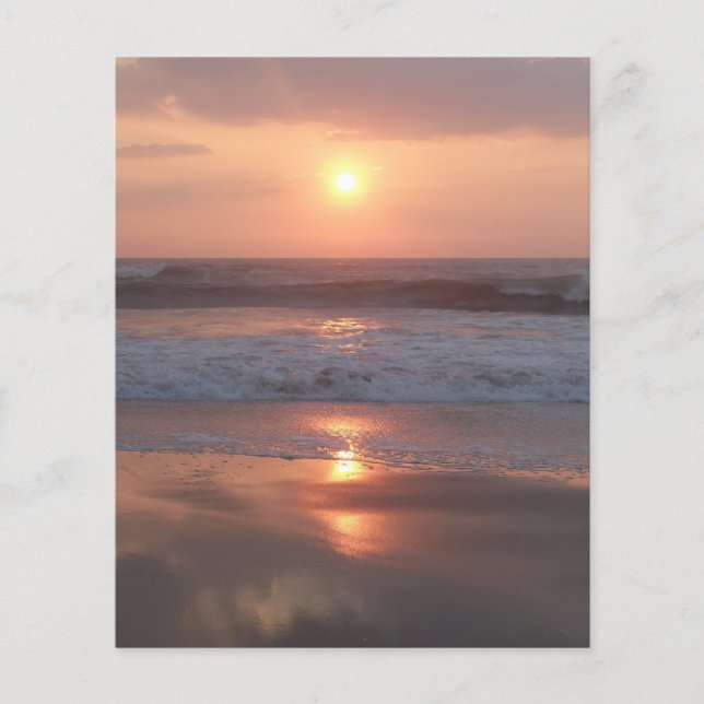 Pink Sunset on the Beach Flyer (Front)