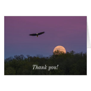 Pink Supermoon Eagle Thank You