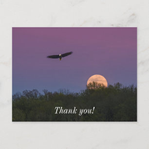 Pink Supermoon Eagle Thank You Postcard