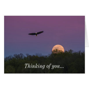 Pink Supermoon Eagle Thinking Of You