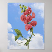 Pink Sweet Pea Flower Art 
