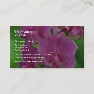 Pink Sweet Pea flowers Business Card