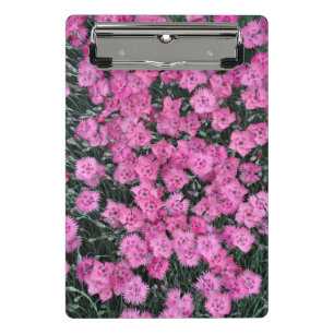 Pink sweet william flowers mini clipboard