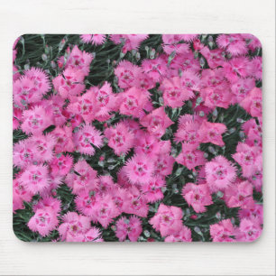 Pink sweet william flowers mouse pad
