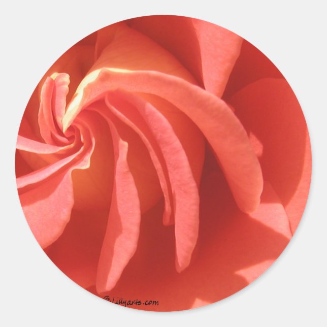 Pink Swirl Rose Envelope Seal Sticker (Front)