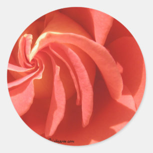 Pink Swirl Rose Envelope Seal Sticker