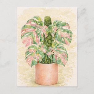 pink tartan monstera leaf Scottish scotland Postcard
