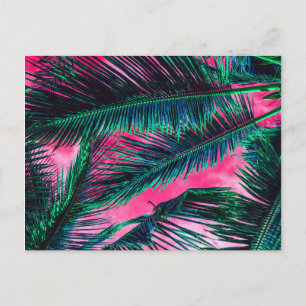 Pink Teal Tropical Summer Palm Tree Fronds Postcard