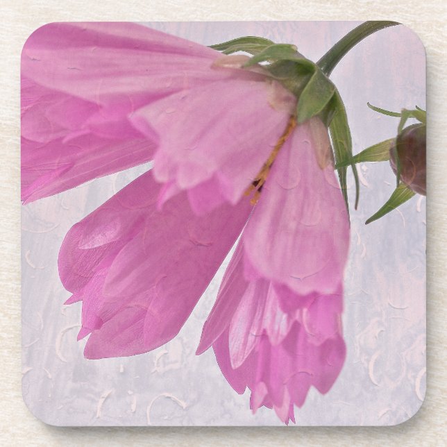 Pink Textured Cosmo Flower Coaster (Front)