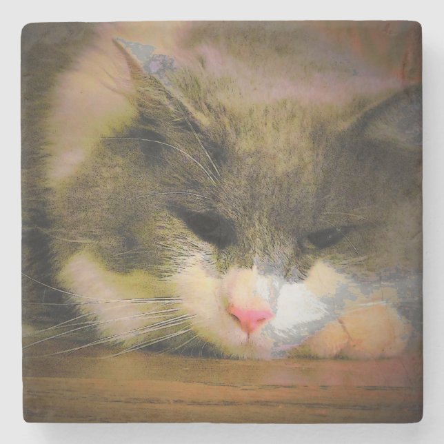 Pink the Cat Sullen Mood Sad Kitty Stone Coaster (Front)