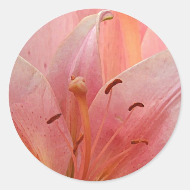 Pink Tiger Lily Classic Round Sticker (Front)