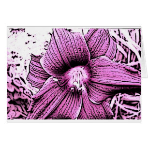 Pink Tigerlilly