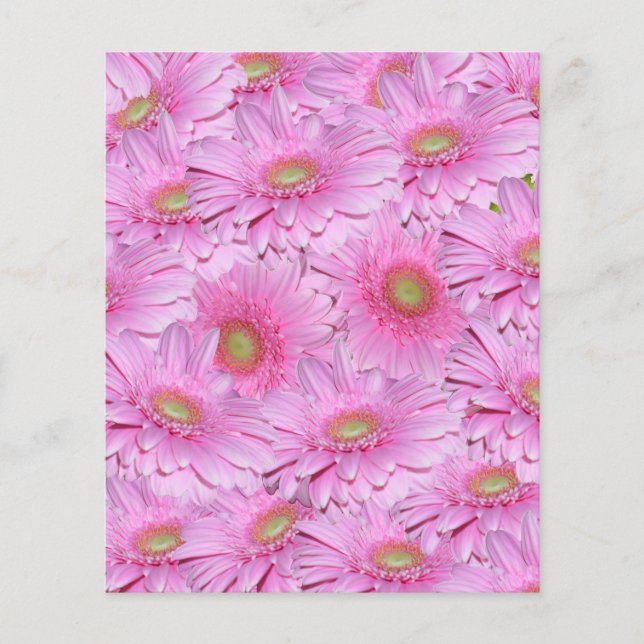 Pink Tight Clusters Of Gerbera Flowers, Flyer (Front)